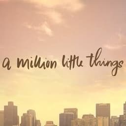 A Million Little Things