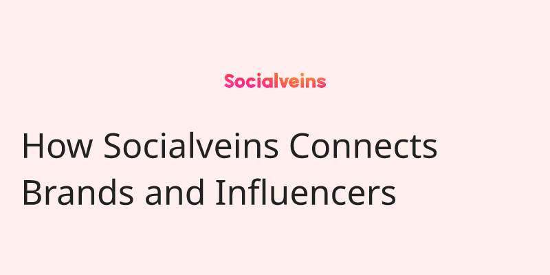Image of How Socialveins Connects Brands and Influencers on socialveins Influencer marketing blog